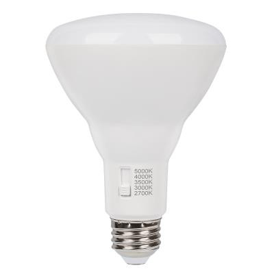5349000 - 9W BR30 Dimmable LED Flood Bulb 2700K 750 lm E26 - Westinghouse