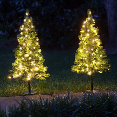 WGC-75485 - 2' T5 Warm White LED Winchester Fir Walkway Tree, 50 Lights - Red Sleigh