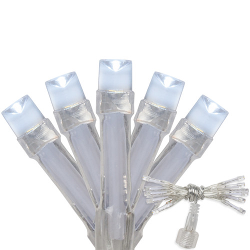 WGC-76688 - Clear Aurora Superstar™ Light String, 12 Cool White LED Mini Lights, Wire - Wintergreen Corporation