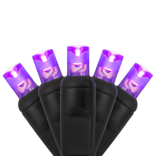WGC-83881 - 5mm Purple LED Christmas Lights, 70 Lights, 24', Black Wire, 4" Spacing - Wintergreen Corporation