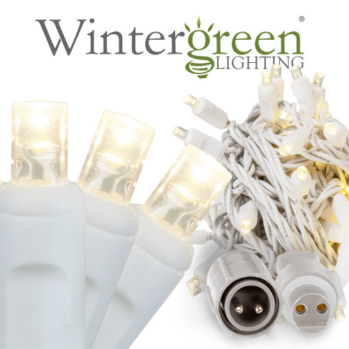 WGC-84242 - 5mm Warm White LED Commercial WeatherPRO™ Lights, 50 Lights, 17', White Wire, 4" Spacing - Wintergreen Corporation