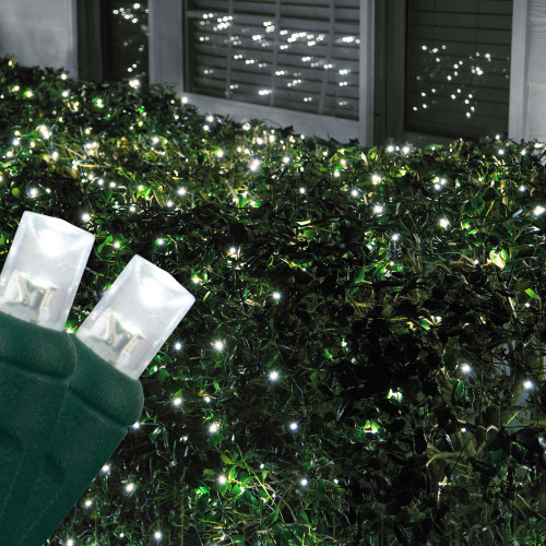 WGC-85452 - 4'x6' 5mm Cool White LED Christmas Net Lights, 100 Lights, Green Wire - Wintergreen Corporation