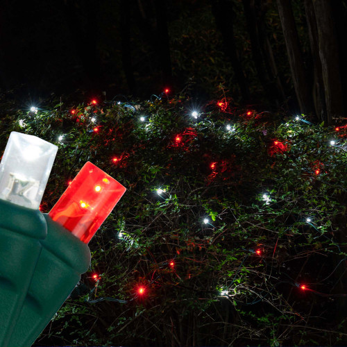 WGC-85456 - 4'x6' 5mm Cool White/Red LED Christmas Net Lights, 100 Lights, Green Wire - Wintergreen Corporation