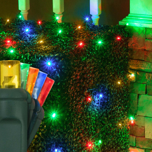 WGC-85462 - 4'x6' 5mm Multicolor LED Christmas Net Lights, 100 Lights, Green Wire - Wintergreen Corporation