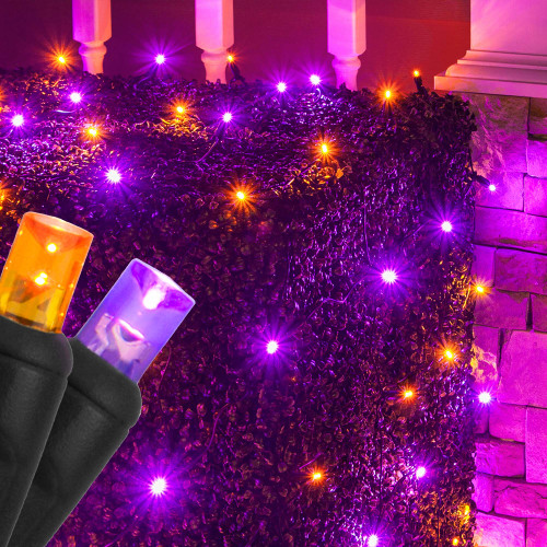 WGC-85464 - 4'x6' 5mm Purple/Orange LED Christmas Net Lights, 100 Lights, Black Wire - Wintergreen Corporation