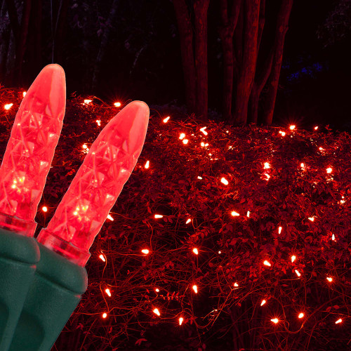 WGC-88000 - 4'x6' M5 Red LED Christmas Net Lights, 100 Lights, Green Wire - Wintergreen Corporation