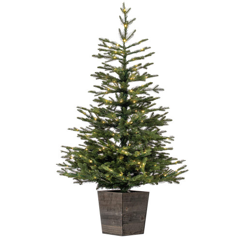 VIC-G201641LED - 4'x31" Gibson Slim Potted LED 200 Warm White - Vickerman