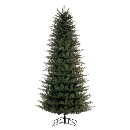 VIC-K230485 - 10' x 59" Georgian Fraser Fir 7912Tips - Vickerman