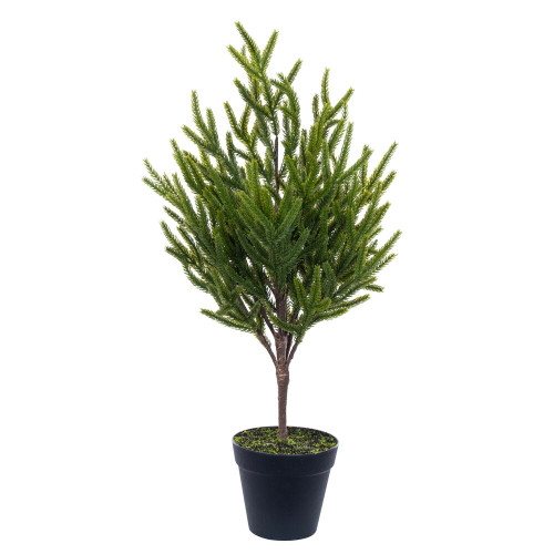 VIC-RS240322 - 23.5" Potted Green Norfolk Pine Tree - Vickerman