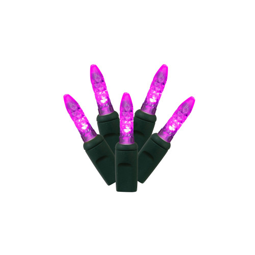 VIC-X4G5706PBG - 70 Lights LED Purple/Green Wire M5 EC Set 4"x24'L - Vickerman