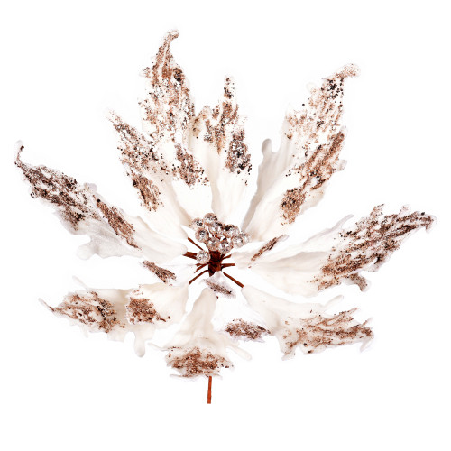 VIC-LF202238 - 16" x 22" Champagne Velvet Poinsettia Pack - Vickerman