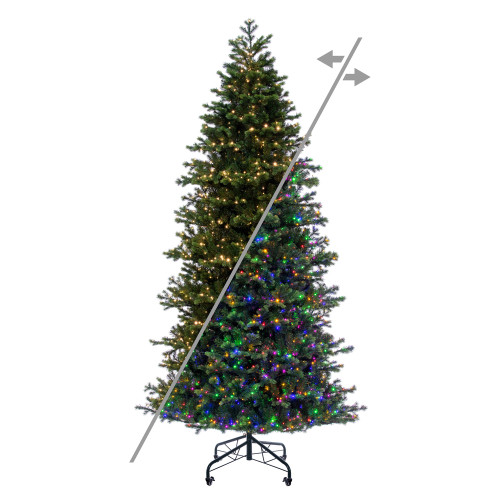 VIC-G264385 - 10' x 63" Black Hills Spruce 5800T - Vickerman