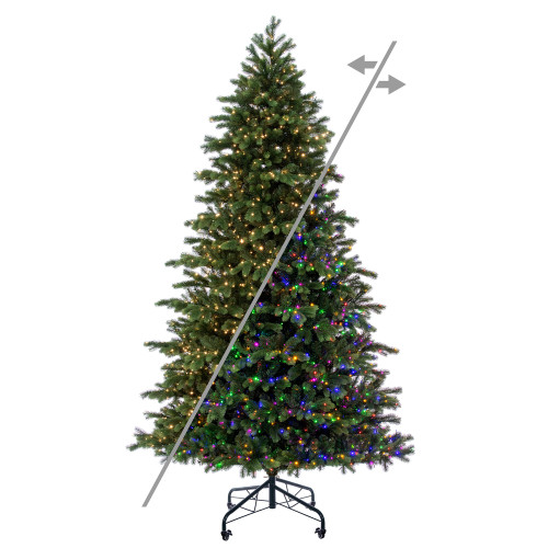 VIC-G263588LEDCC - 10' x 66" Downswept Douglas 3mm 2500 CC - Vickerman