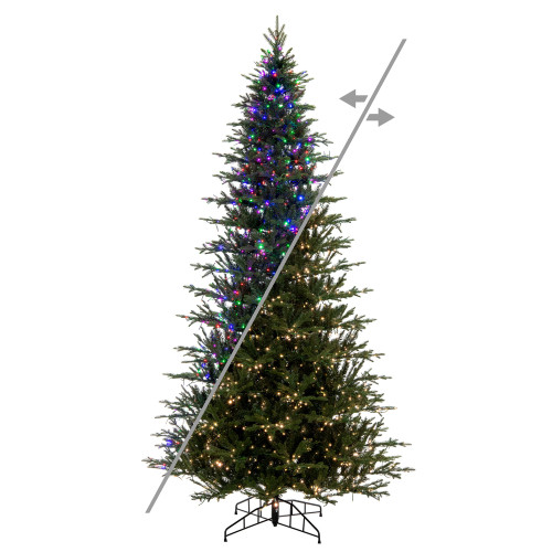 VIC-K184188LEDCC - 10' x 63" Kamas Fraser 3mm LED 2550 CC - Vickerman