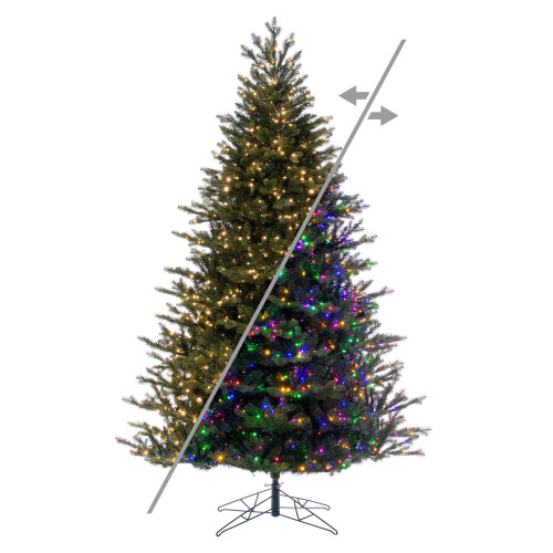 VIC-G230888LEDCC - 10' x 58" Washington Fraser 3mm 2250 CC - Vickerman