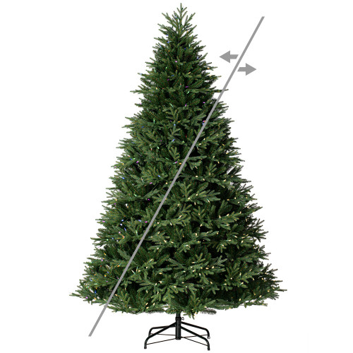 VIC-DT213568LEDCC - 6.5' x 52" Tiffany Fraser Fir LED 500 CC - Vickerman