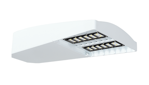 LOT2T65YW/D10/HS | RAB | LightingAndSupplies.com