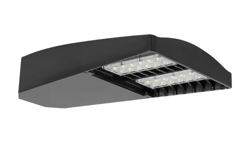 LOT3T110N/D10/5PR | RAB | LightingAndSupplies.com