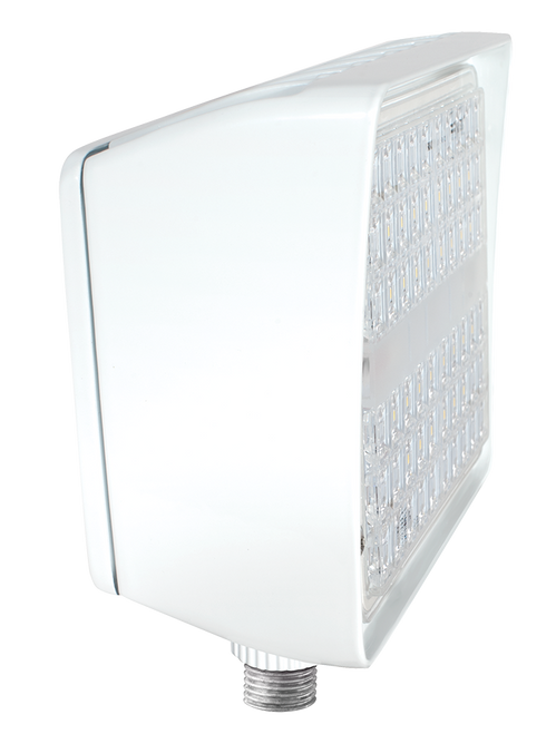 PIP20YW/D10/PCU | RAB | LightingAndSupplies.com