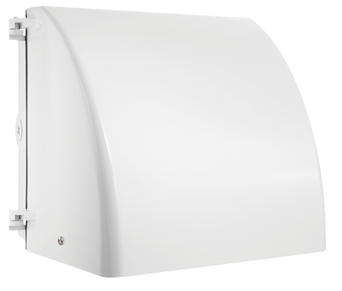 WP1FCSN35W/PCS | RAB | LightingAndSupplies.com