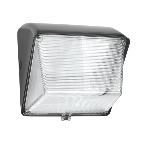 WP1LED30/PC | RAB | LightingAndSupplies.com