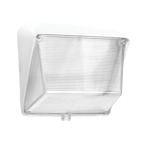 WP1LED30W/PCS2 | RAB | LightingAndSupplies.com