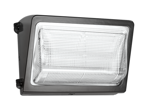 WP2LED24N/PCS | RAB | LightingAndSupplies.com