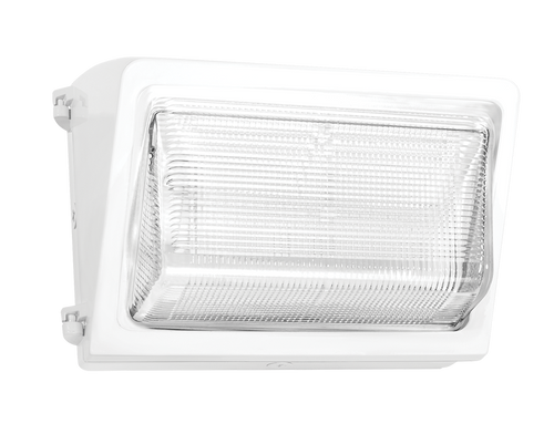 WP2LED24NW/PC2 | RAB | LightingAndSupplies.com