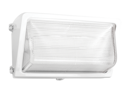WP3LED55NW | RAB | LightingAndSupplies.com