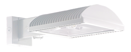 WPLED2T125W/D10/WS4 | RAB | LightingAndSupplies.com