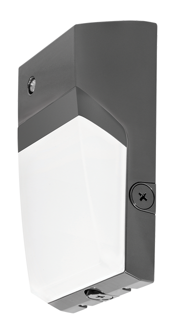 WPTLED40/D10/PC2 | RAB | LightingAndSupplies.com
