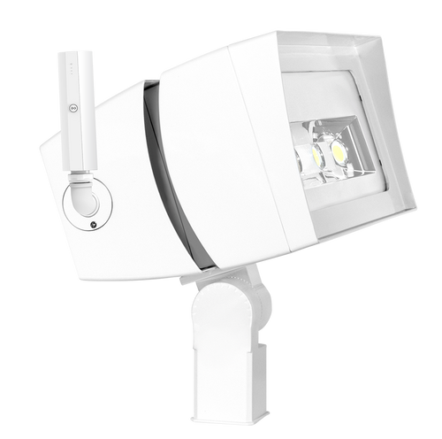 FFLED230SFYW/D10/LC | RAB | LightingAndSupplies.com