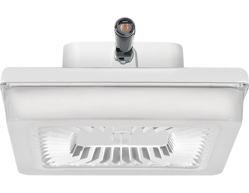 PRT105W/480/PCS4 | RAB | LightingAndSupplies.com