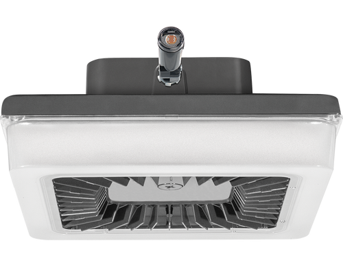 PRT105Y/PCS2 | RAB | LightingAndSupplies.com