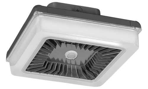 PRT42Y/D10/WS | RAB | LightingAndSupplies.com