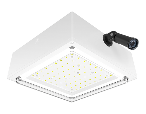 VANLED10YW/PCS2 | RAB | LightingAndSupplies.com