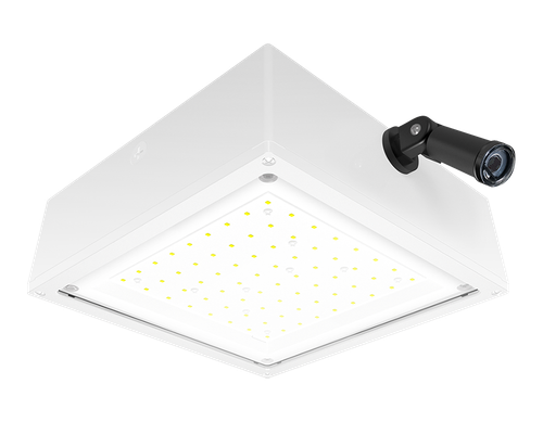 VANLED20FW/PCS2 | RAB | LightingAndSupplies.com