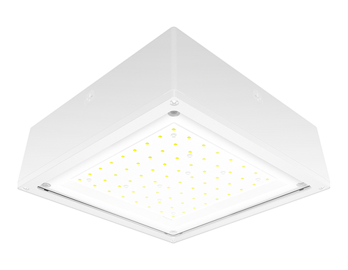 VANLED20NFW | RAB | LightingAndSupplies.com