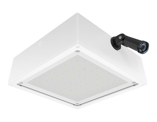 VANLED20YFFRW/PCS2 | RAB | LightingAndSupplies.com