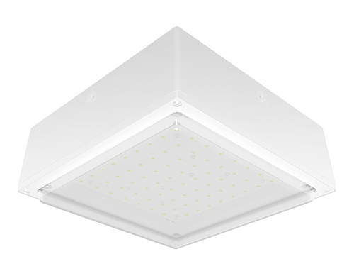 VANLED40FRW/480 | RAB | LightingAndSupplies.com