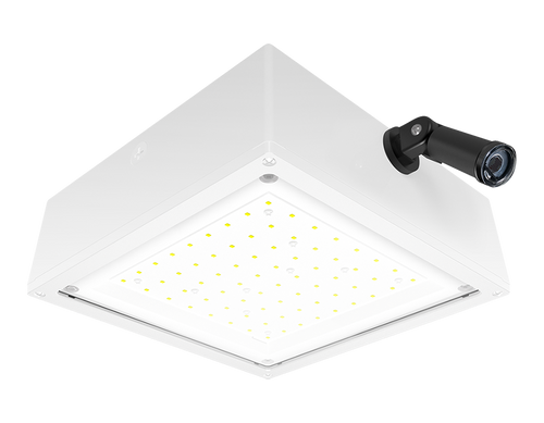 VANLED40NFW/PCS | RAB | LightingAndSupplies.com