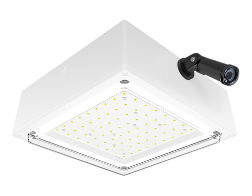 VANLED40W/PCS | RAB | LightingAndSupplies.com