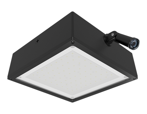 VANLED40YFFR/PCS | RAB | LightingAndSupplies.com