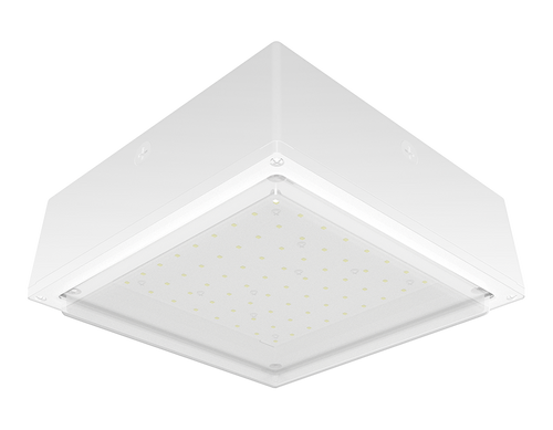 VANLED40YFRW/480 | RAB | LightingAndSupplies.com