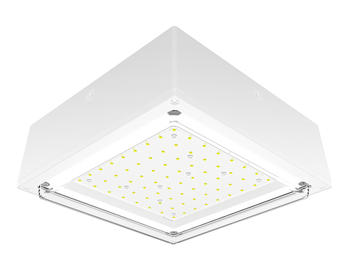 VANLED40YW/480 | RAB | LightingAndSupplies.com