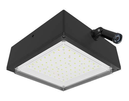 VANLED52/PCS2 | RAB | LightingAndSupplies.com