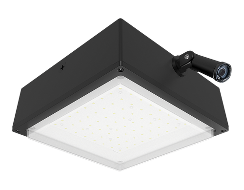 VANLED52FR/PCS | RAB | LightingAndSupplies.com