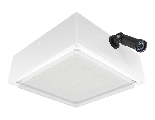 VANLED52NFRW/480/PCS4 | RAB | LightingAndSupplies.com