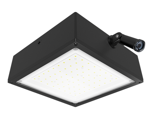 VANLED52YF/480/PCS4 | RAB | LightingAndSupplies.com