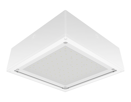 VANLED52YFFRW/480 | RAB | LightingAndSupplies.com